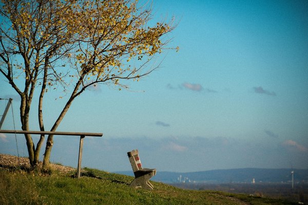 Sante Approches Integratives